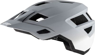 Leatt MTB 1.0 Helmet Mtn 2021 - Steel - L}, Steel