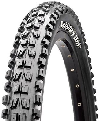 Maxxis Minion EXO TR MTB Tyre - Black - Folding, Black