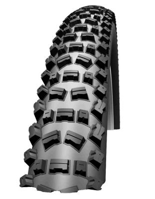 Copertone Posteriore Fat Albert Evo - SnakeSkin - Schwalbe - nero - 62-507, nero