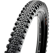 picture of Maxxis Minion SS MTB Tyre (EXO - TR)
